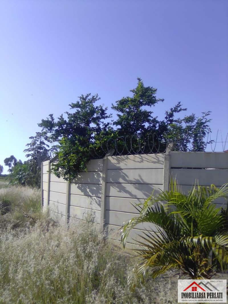  imagem 15