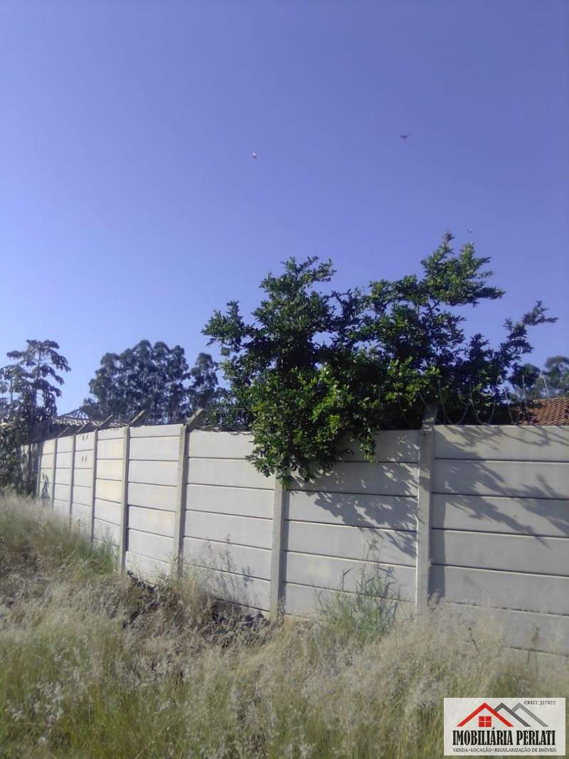  imagem 4